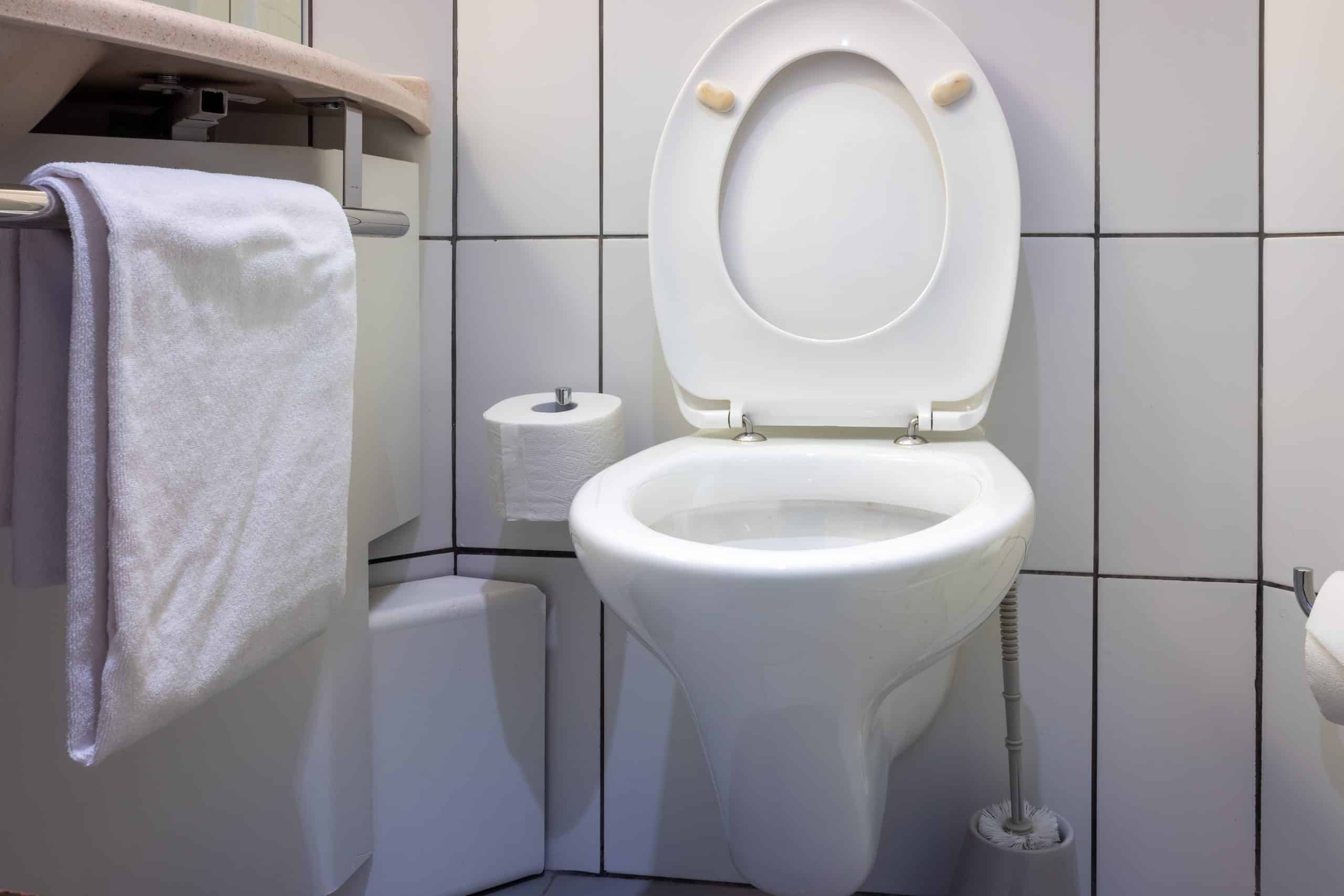 Coperchio del WC sbiancato con due prodotti naturali